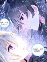 猫咪永久官网入口